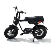 Rictor Moto Style E Bike