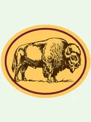 Bison Oval Sticker
