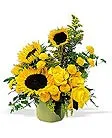 A Pot of Sunflowers