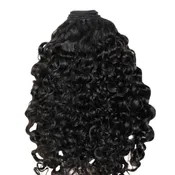 Brazilian Burmese Curly