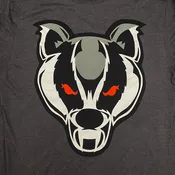 NEW Badger Logo T-Shirt