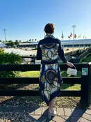 Silk Dress / Blue Stirrup
