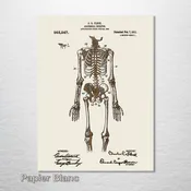 1911 Anatomical Skeleton Patent