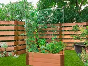 4' x 4' Trellis Garden