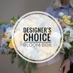 Designer’s Choice | Bloom Box | Flower Delivery San Francisco