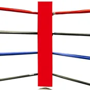 Boxing Set of 4 Blank Corner Cushions Set of 4 Red Color