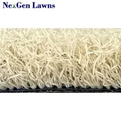 Bunker Turf