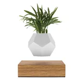 Flyte Lyfe - The Levitating Planter
