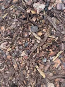 Bagged Pine Bark Mulch