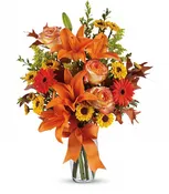 Burst of Autumn