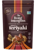 Spicy Teriyaki