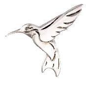 Polished Hummingbird Pin
