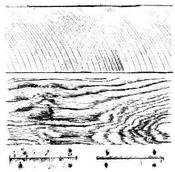 Iron Orchid Designs - Barnwood Planks Stamp