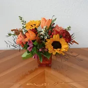 Nature's Autumn Palette