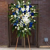 Blue & White Luxury