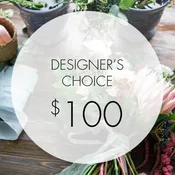 Designer's Choice - $100