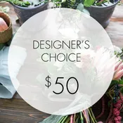Designer's Choice - $50