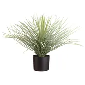 19″ Whipple Yucca in Vinyl Liner
