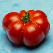 Brandywine Red Tomato Plants | Two Live Garden Plants | Non-GMO, Indeterminate, Heirloom