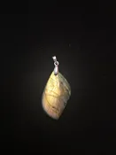 Labradorite Pendant