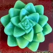 Handmade Succulent Soap