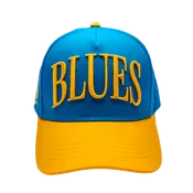 EMBROIDERED BLUES SNAPBACK