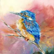 Baby Kingfisher #19