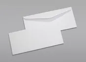 Envelope 4x8in