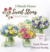 3 Months of a Fresh Floral Subscription — Sweet Stems Floral Design