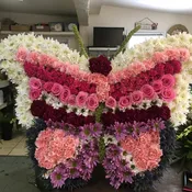 Signature Butterfly #1
