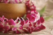 Orchid Lei in Bulk – 10 Leis