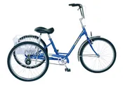 Adult Trike