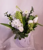 Beauty in White