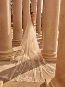 Catalina Veil