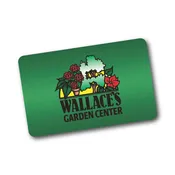 Physical Gift Card