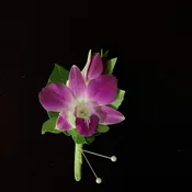 Orchid Boutonniere