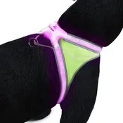 Noxgear Lighthound 360 Visibility Multicolor Reflective LED Dog Harness