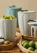 Aptos Large Canister