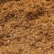 Canadian Cedar Mulch