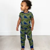 Bamboo Short Sleeve Pajama Set with a Green Dinosaur Print