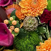 Designer's Choice - Deep Jewel Tones