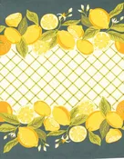 16″ Classic Retro Lemon Delight toweling
