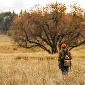 Eagle Nest Lodge, MT