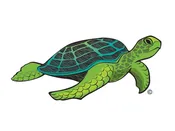Turtle GRN1