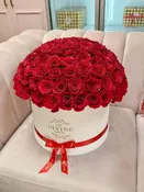 100 Fresh Roses Round Grand Box, Choice of Rose Color