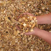 Playground Woodchips