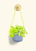 Cornflower Hanging Fat Lip Planter