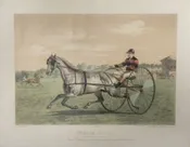 (Harness Racing) after G. David. SYRATA (Cheval Russe) Paris: Jourdan, Barbot & Cie, ca. 1883