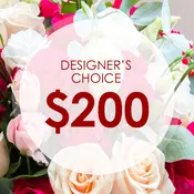 Designers Choice $200