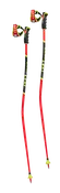 2022 World Cup Racing TBS GS 3D Ski Pole